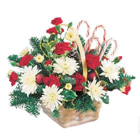 USA & Canada Candy Cane Bouquet